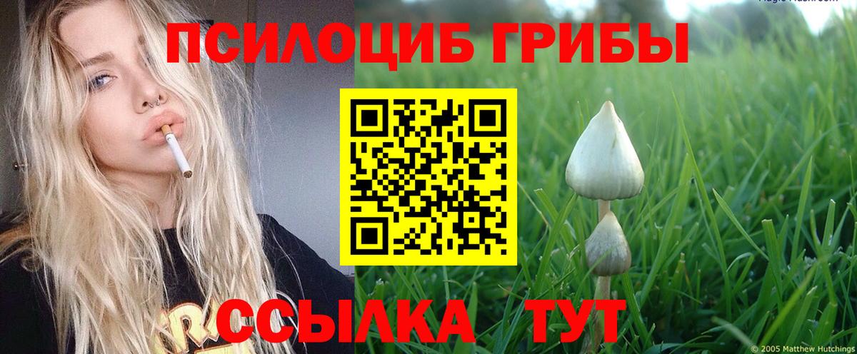 дарнет шоп  Вход с VPN  Оренбург  Галлюциногенные грибы мухоморы  Галлюциногенные грибы MAGIC MUSHROOMS 